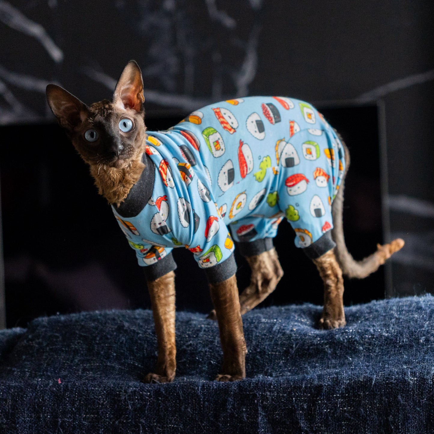 Combinaison, pyjama chat | Sushi