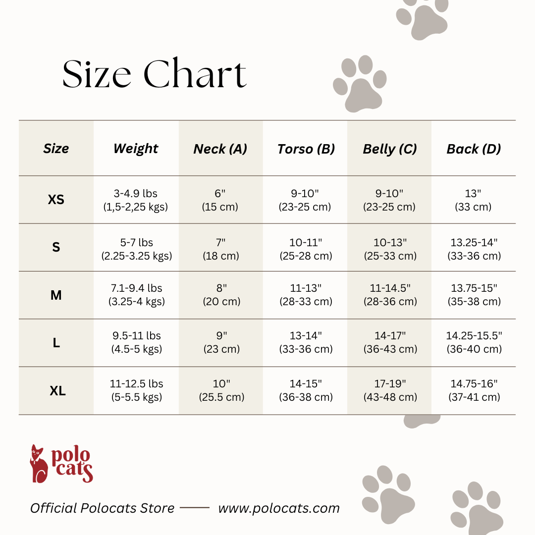 Onesie for cat | Animals