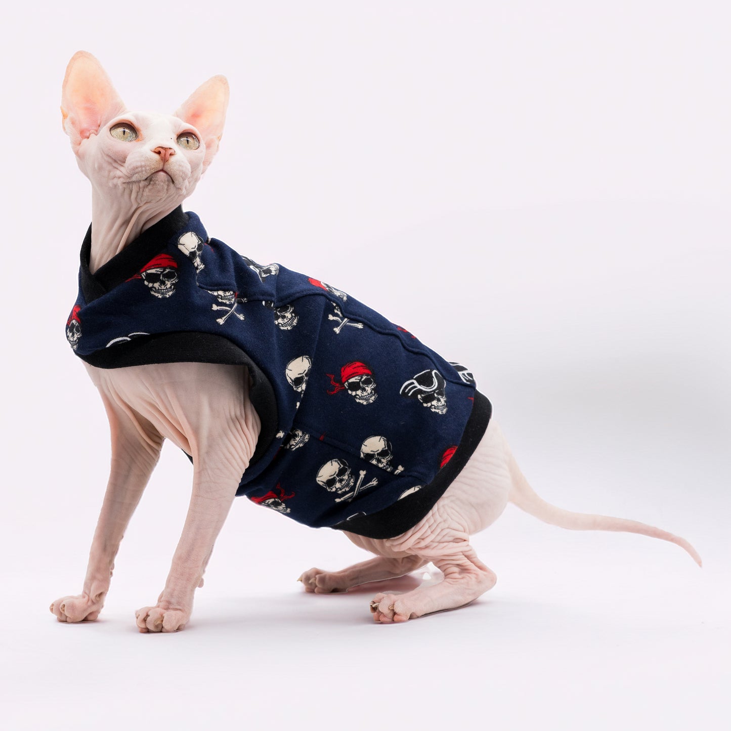 Chandail chaud en coton pour chat, modèle débutant | Pirates
