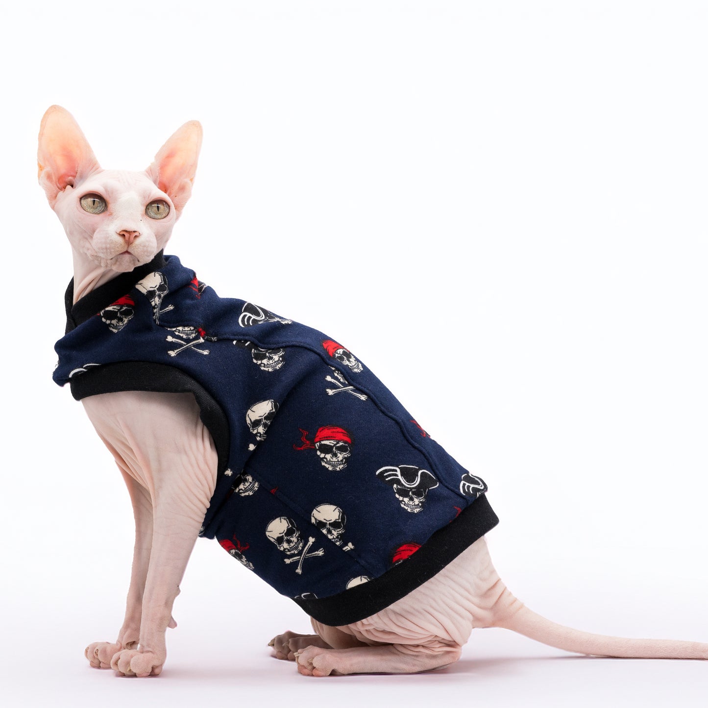 Chandail chaud en coton pour chat, modèle débutant | Pirates