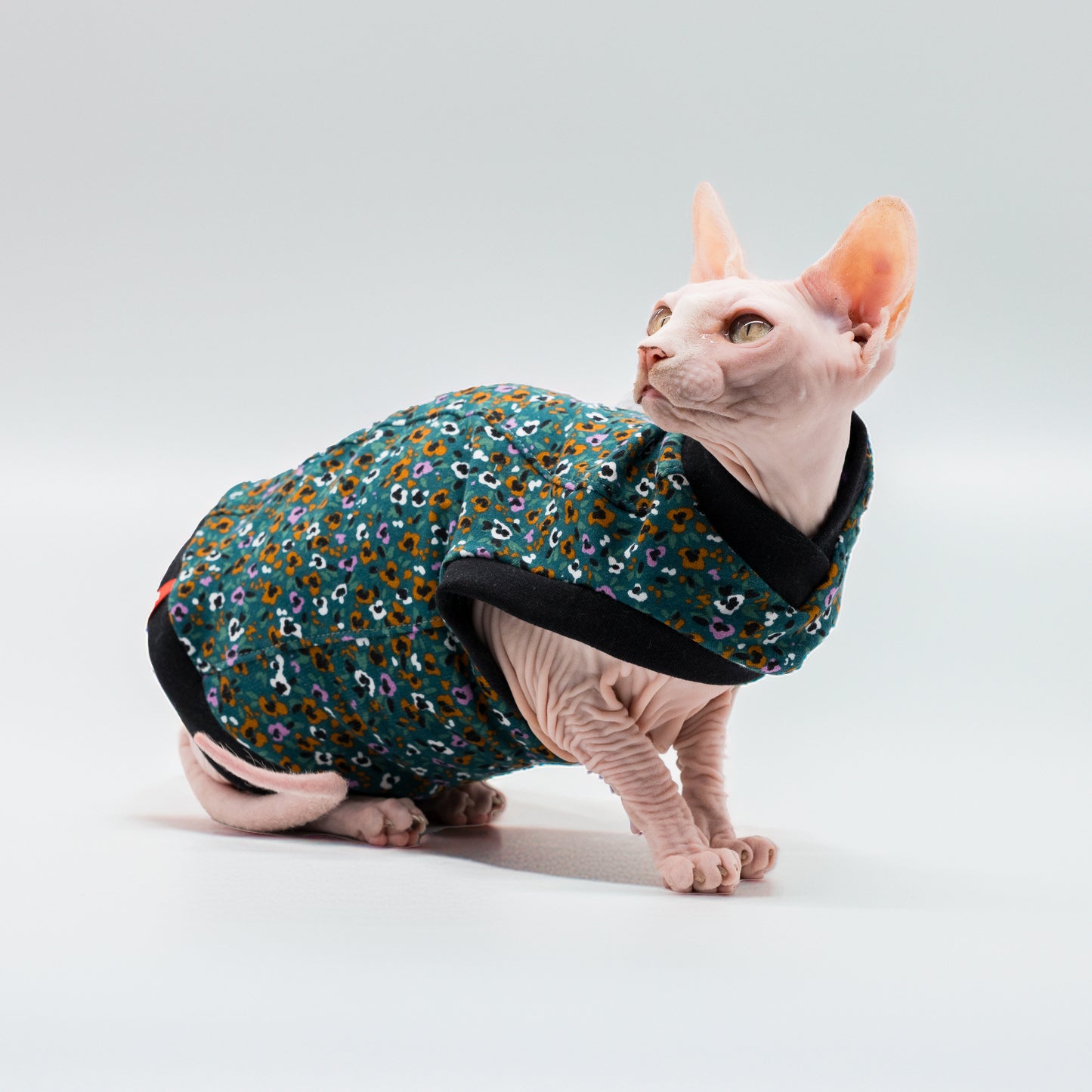 Chandail chaud en coton pour chat, modèle débutant | Fleurs Sarcelles