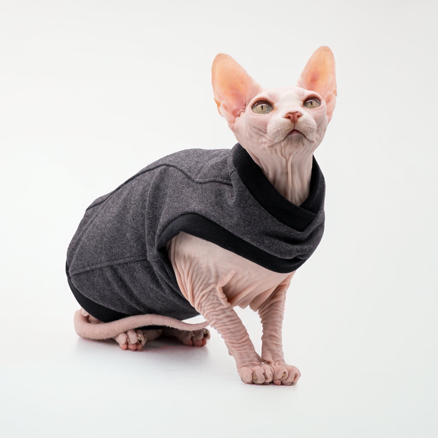Chandail chaud pour chat, modèle débutant | Cotton ouaté gris uni