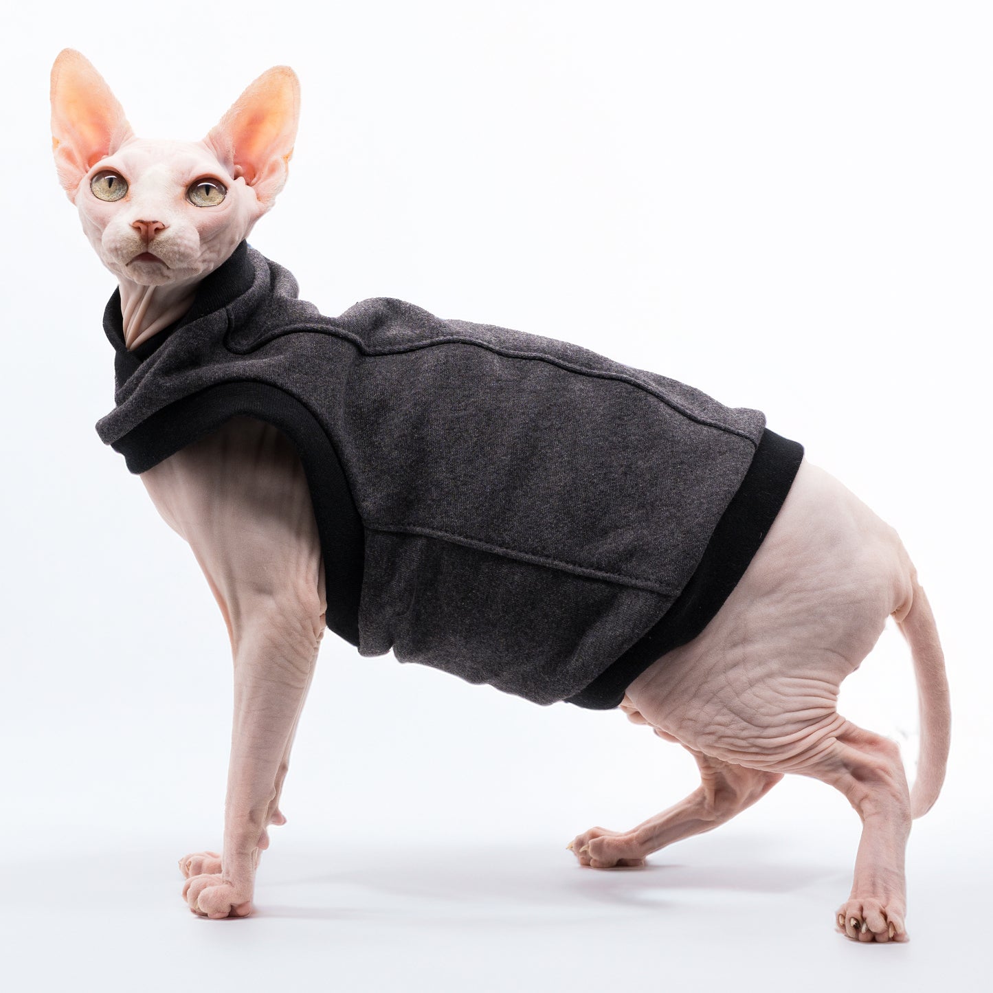 Chandail chaud pour chat, modèle débutant | Cotton ouaté gris uni