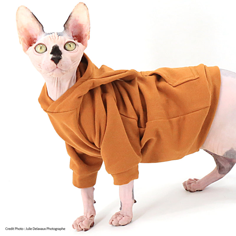 Chandail chaud à manches longues avec capuche, vêtement chat Polocats