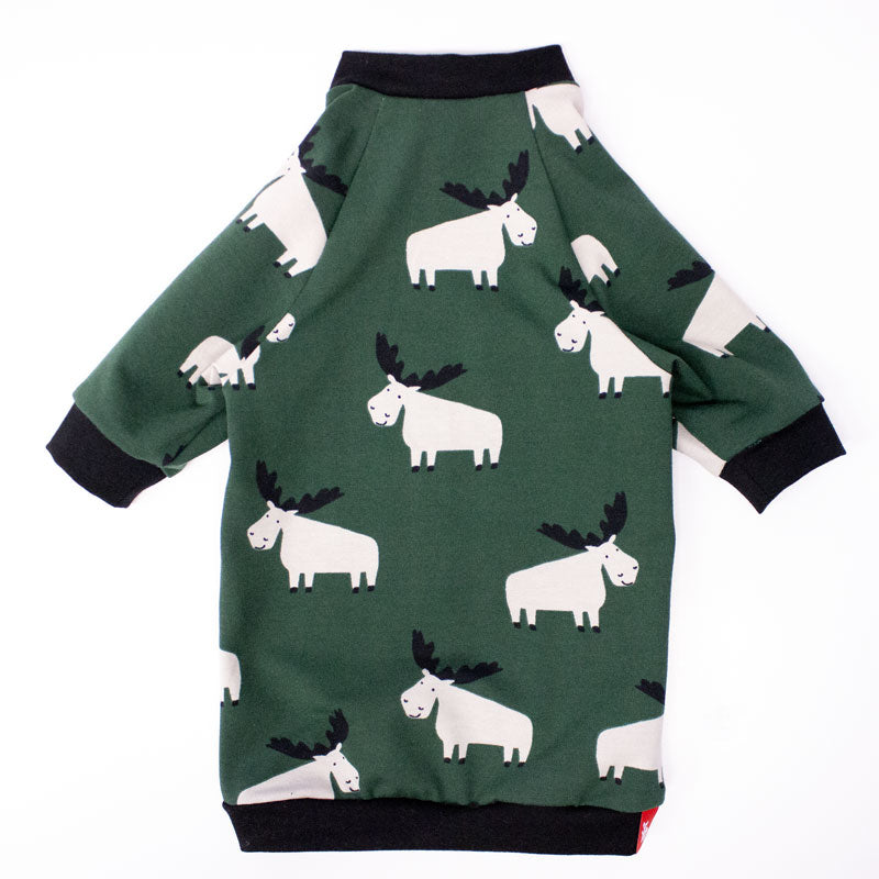 Chandail à manche Raglan pour chat (8 styles)