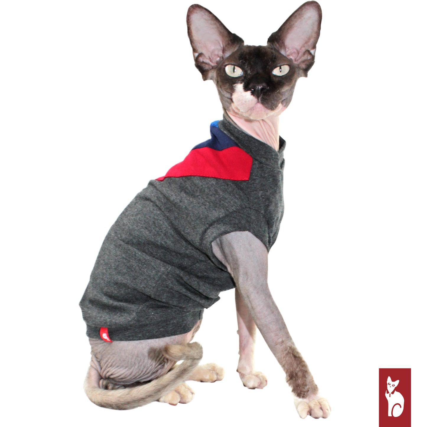 M Series Tee-shirt, cat clothing