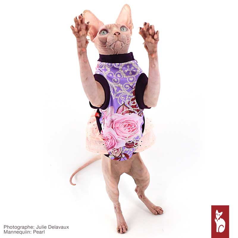 Lace and Pearl Dress | Sphynx Cat Clothing