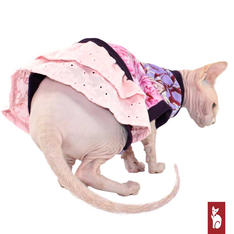 Lace and Pearl Dress | Sphynx Cat Clothing