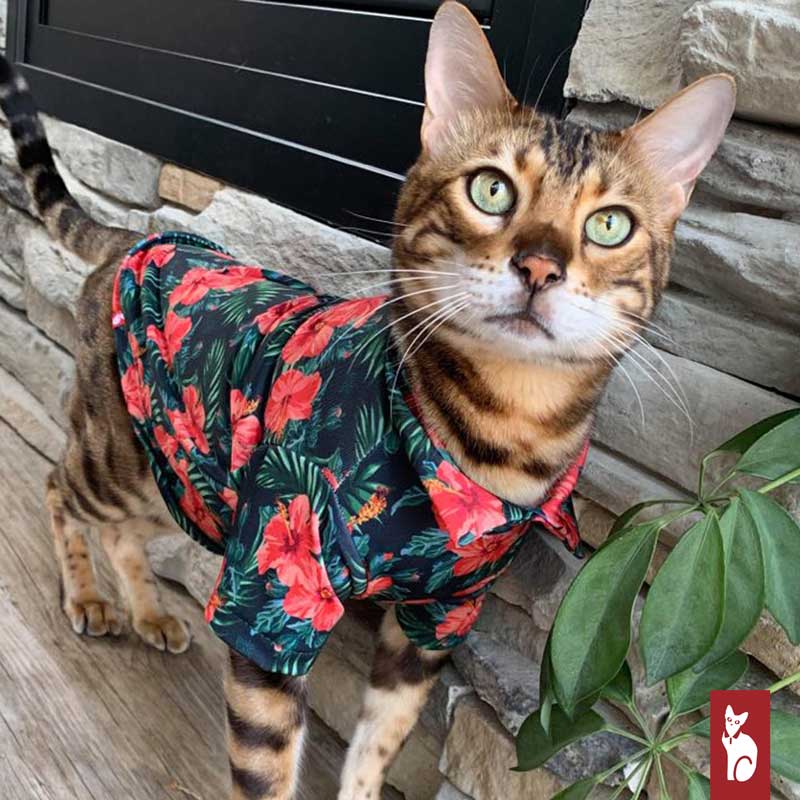 Hawaien Shirt for Sphynx Cat, Green Hibiscus