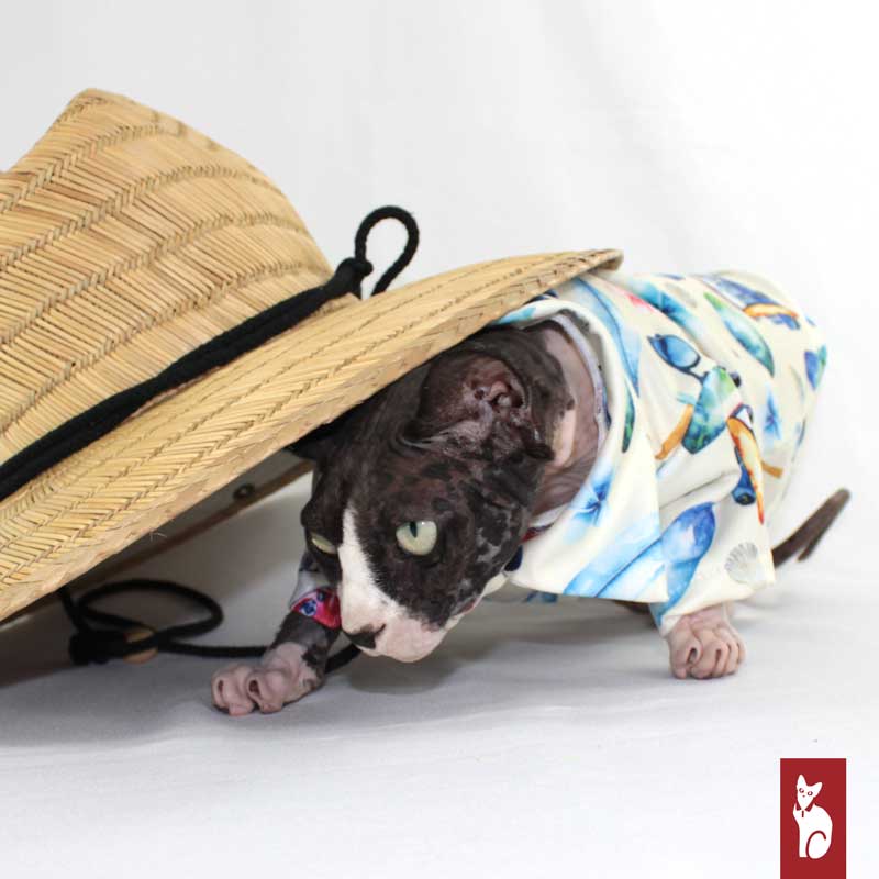 Hawaiian Shirt | Cream Vacation