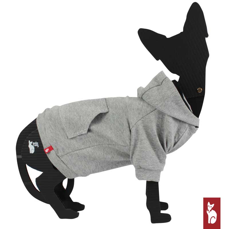 Light gray hoodie with raglan sleeves