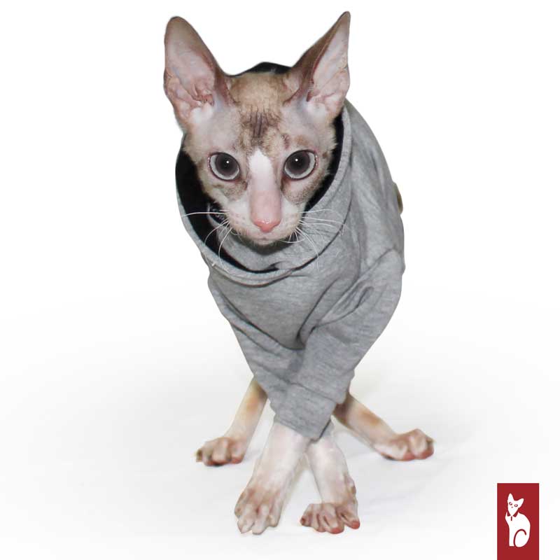 Light gray hoodie with raglan sleeves