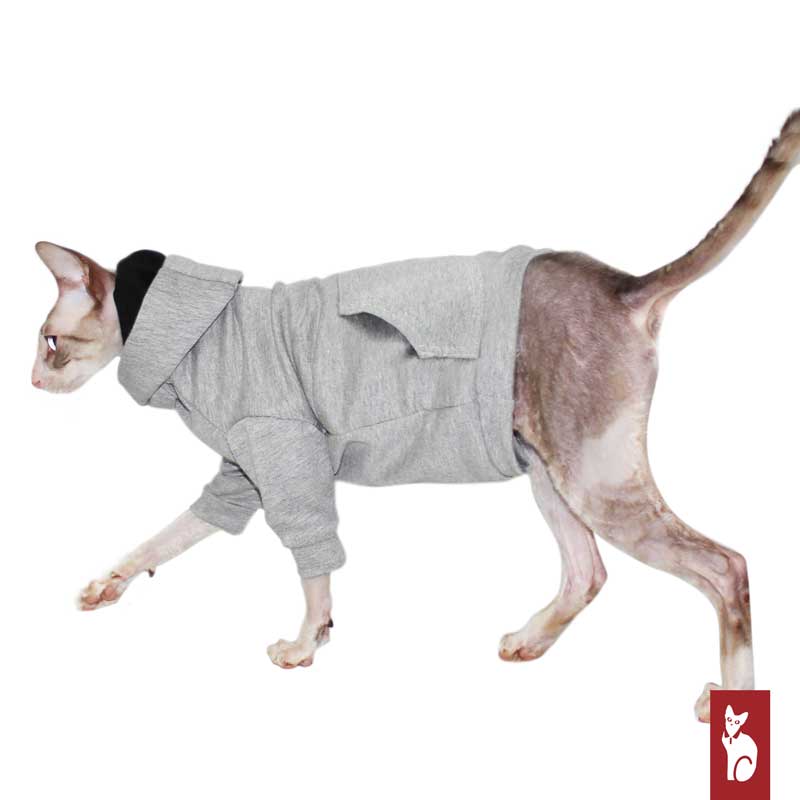 Light gray hoodie with raglan sleeves