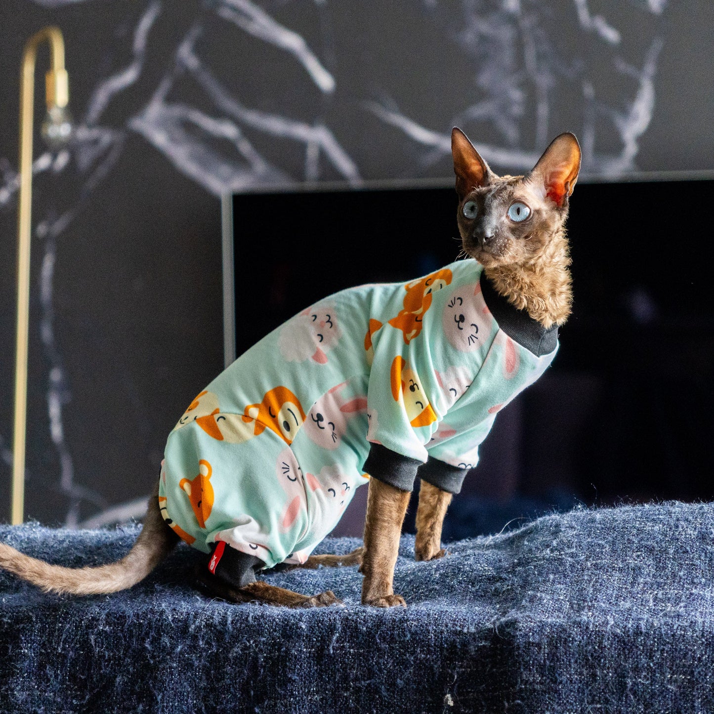 Combinaison, pyjama chat | Animaux