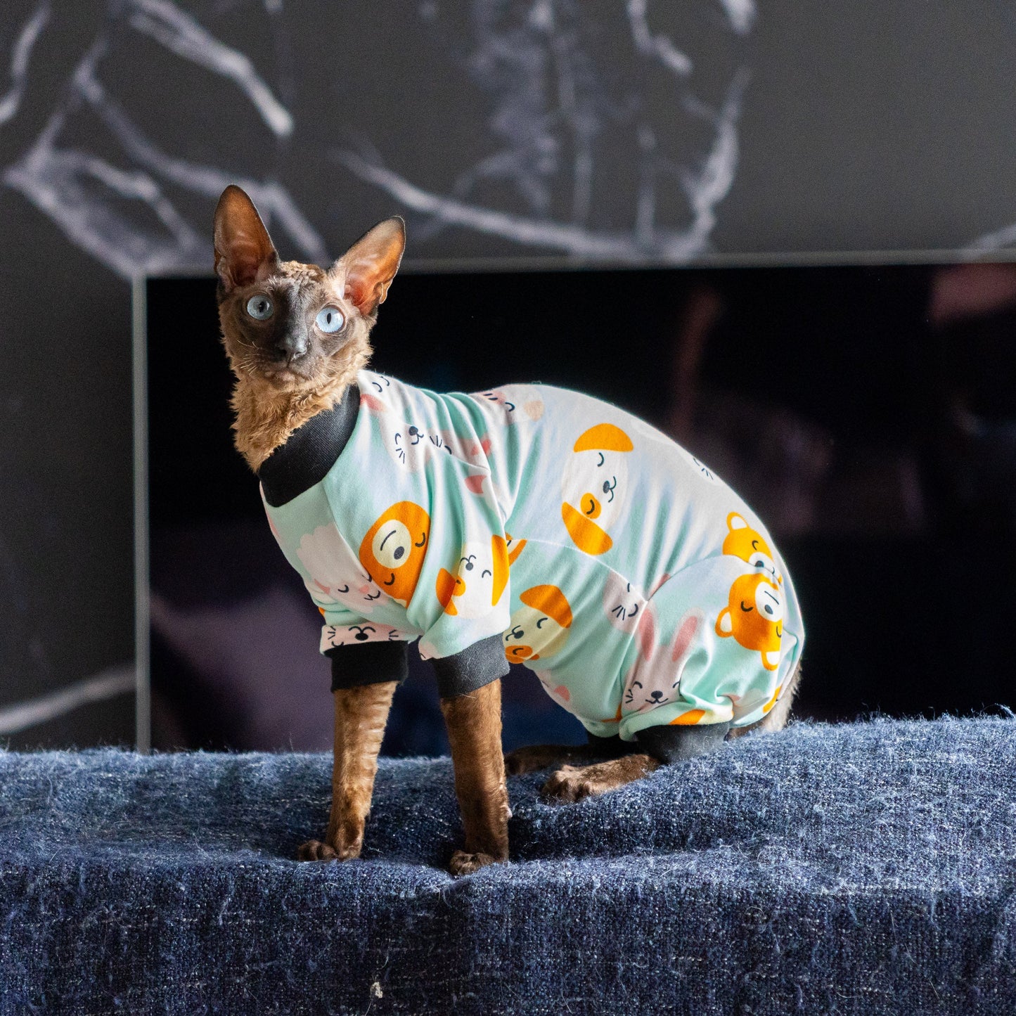 Combinaison, pyjama chat | Animaux