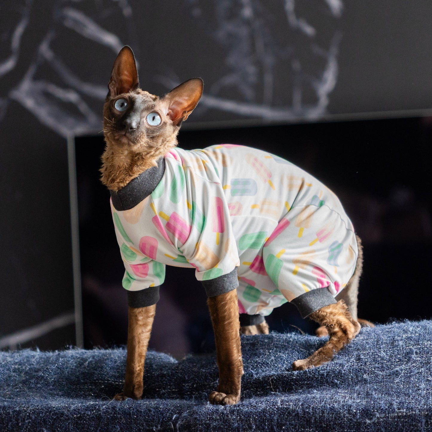 Combinaison, pyjama chat | Popsicles