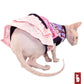 Robe en dentelle et perles | Vêtements pour chat Sphynx