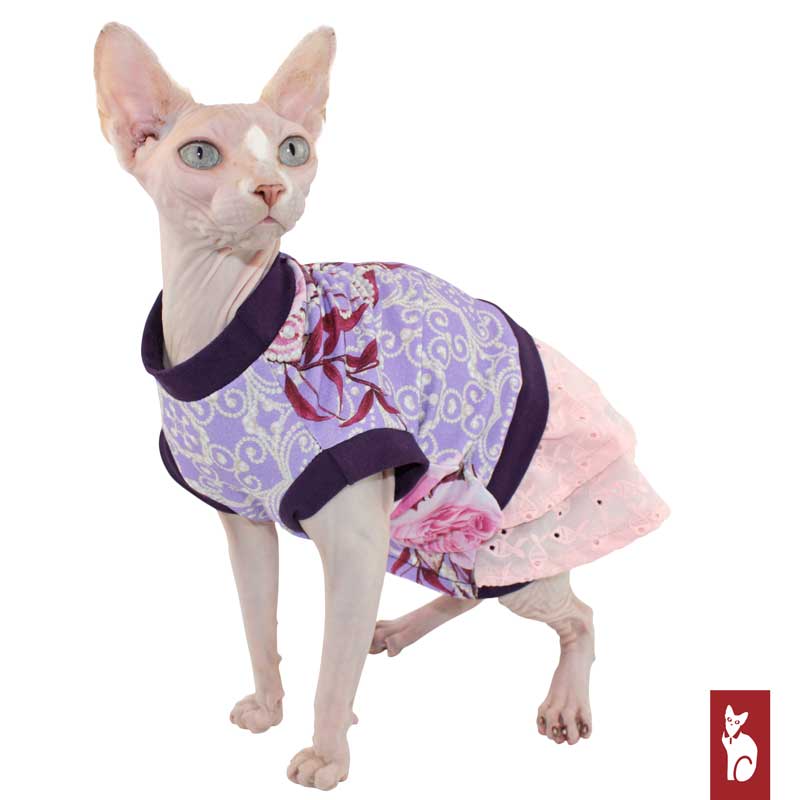 Robe en dentelle et perles | Vêtements pour chat Sphynx