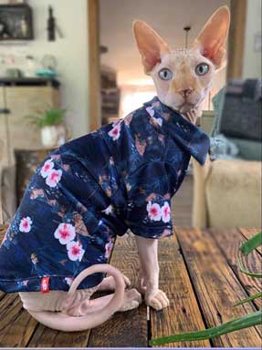 Chemise Hawaïenne pour Chat Sphynx, Île Bleu Foncé | Vêtements pour chat Sphynx