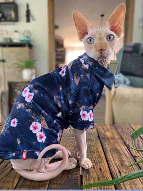 Chemise Hawaïenne pour Chat Sphynx, Île Bleue Foncé | Vêtements pour chat Sphynx